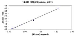 Eurofins DiscoverX PI3K-C2 Protein 250 &mu;g | Buy Online | Eurofins DiscoverX | Fisher Scientific